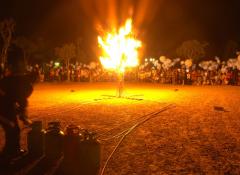 Burning tree, Spier festival of light, Fire effects, SFX Cape Town