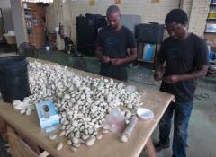 Urethane pebbles, Fabrication, SFX Cape Town