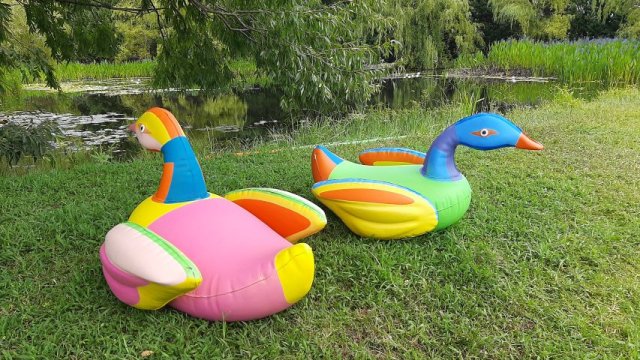 Coca Cola Ducks 1